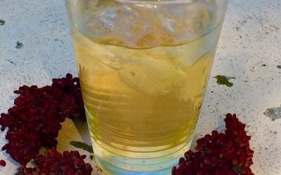 Sumac "lemonade" and frozen cranberries