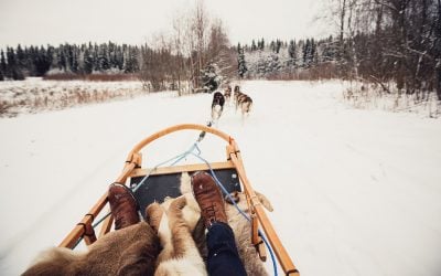 Dog sleds—voyageurs’ winter mode of travel